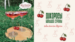 Дикоросы Большой Страны